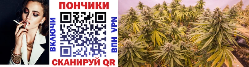 Каннабис OG Kush  Купить  Пудож 